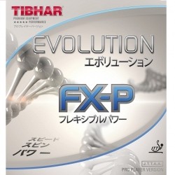 Mặt Vợt TIBHAR Evolution FX-P
