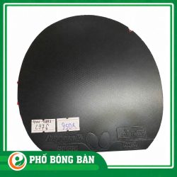 1792987039746_252736717877799844_5929328757485400684_b57be6a73a24fca322bbabfcf097b519