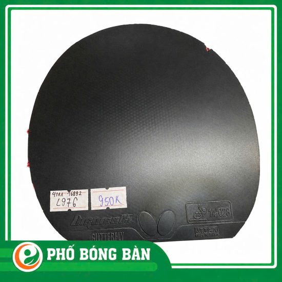1792987039746_252736717877799844_5929328757485400684_b57be6a73a24fca322bbabfcf097b519
