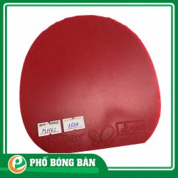 1792987211662_2083584763757371343_2083584763757371343_b7a656235065130f7ffbd465d13051d3